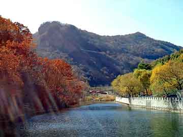 新澳天天开奖资料大全旅游团，麦当劳事件